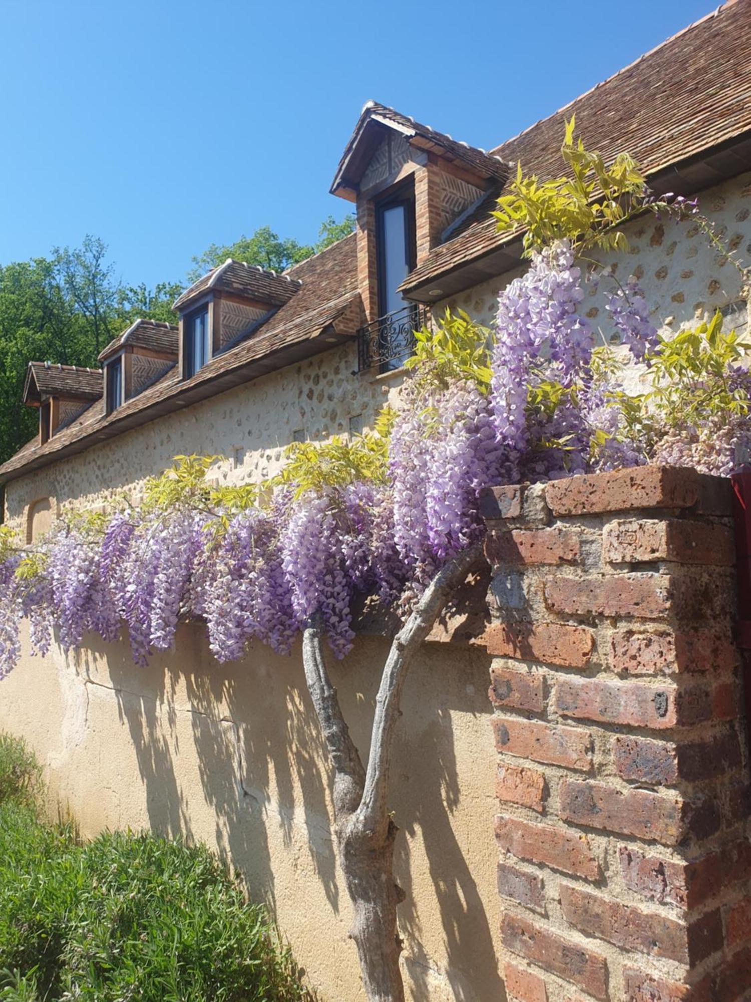 La Sablonniere De Rochefort Exterior foto